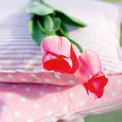 kussen-quilt-roze-j-line
