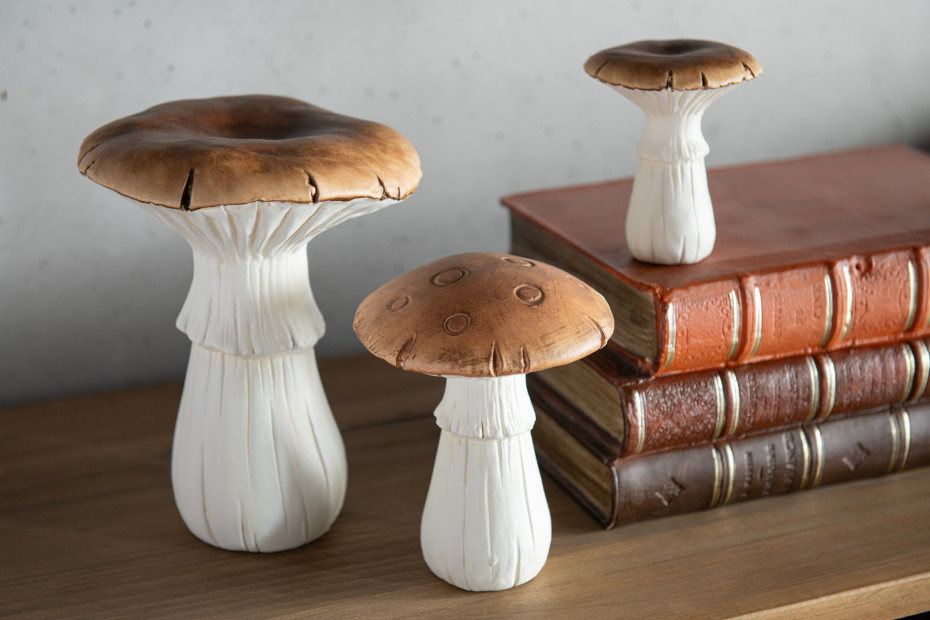 klassieke-boeken-j-line