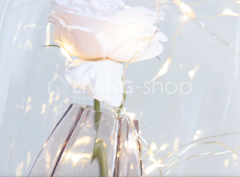 LED KERSTVERLICHTING ONLINE KOPEN | LIVING-shop, stijlvol wonen webshop LED KERSTVERLICHTING ONLINE KOPEN | LIVING-shop, stijlvol wonen webshop